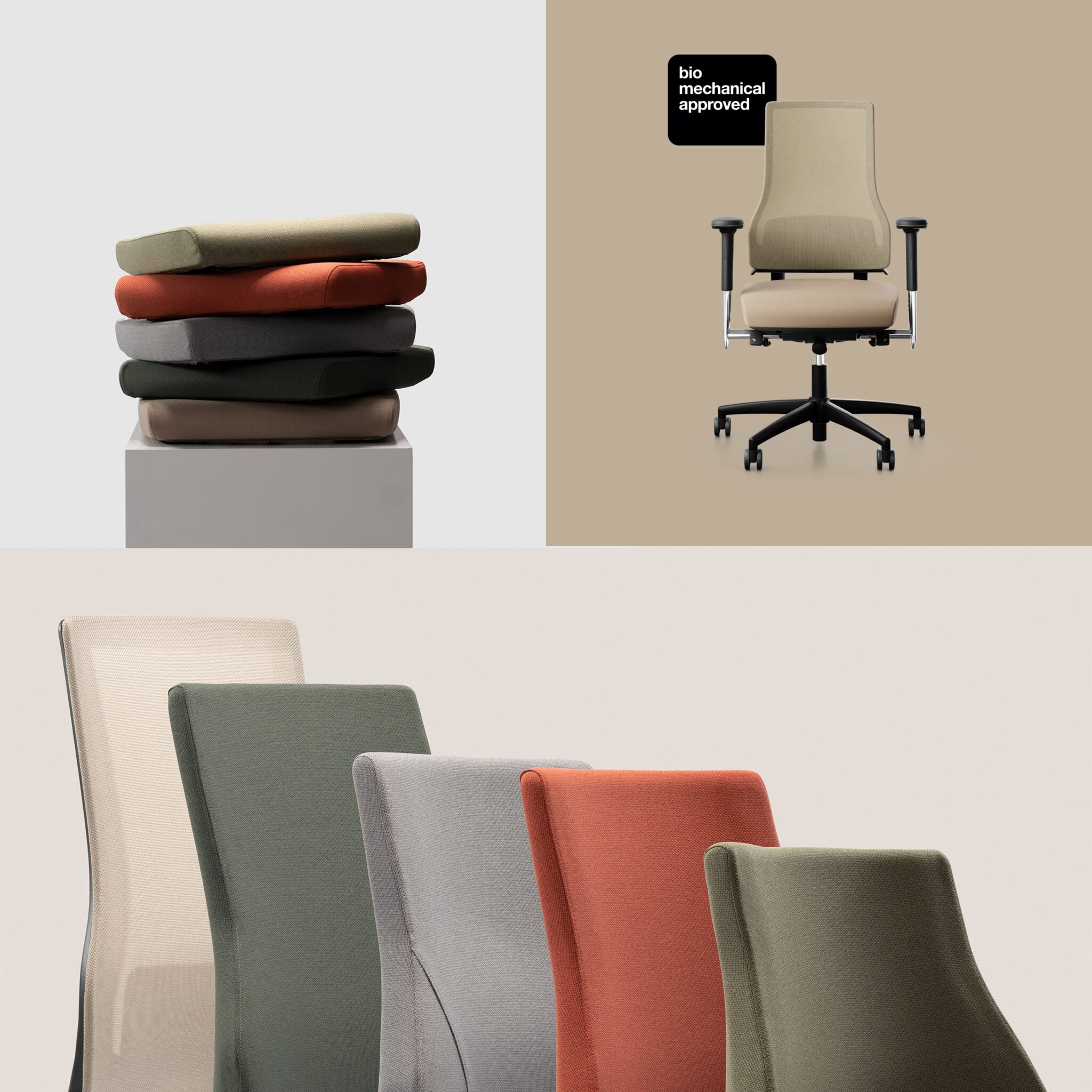 BMA_label-picture